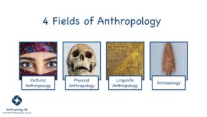 The 4 fields of Anthropology