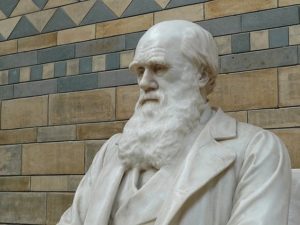 statue of Charles Darwin