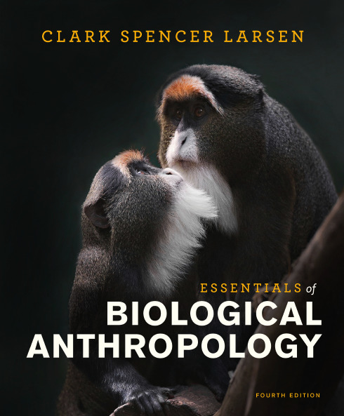 Essentials of Biological Anthropology book cover