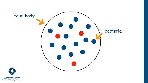 Genetics and evolution. circle filled with blue and red dots.