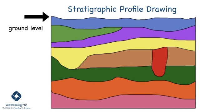 stratigraphic profile drawing
