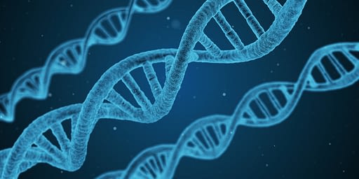Image of 3 strands of DNA in the double helix form, shown in light blue against a dark blue background.